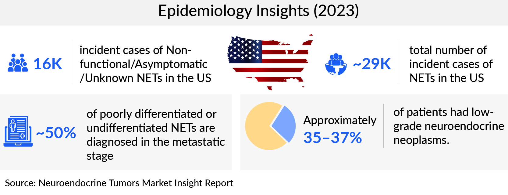 Neuroendocrine Tumors Epidemiology Segmentation